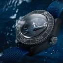 오렌지카매니아 이미지