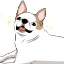 도담메디 이미지