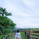 숲속에하루민박 이미지