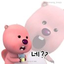 내집마련연구소 | 25살 내집마련 신축 아파트 계약 후기 (1)｜생애최초