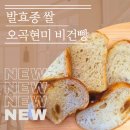 오곡현미빵 | 담백하고 고소한 나비스트릿 발효종 쌀 오곡현미 비건빵
