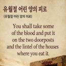 134 D. 출애굽기 12 : 1-13 유월절 어린 양의 피로 20260514 이미지