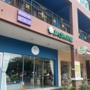 가방위에 고양이 이미지