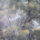 고서약국 이미지