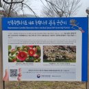 선운산농협웰파크지점 | 고창 웰파크호텔 주변 관광지_동백꽃이 아름다운 고요한 산사 선운사