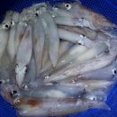 한치대첩 이미지