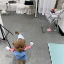 5959 내강아지 이미지