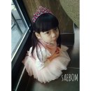 브리스공주