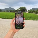 아이폰을부탁해 | [갤럭시 S26 울트라] 13년만에 아이폰에서 갤럭시로 바꾼 내돈내산 후기 (최저가 꿀팁)