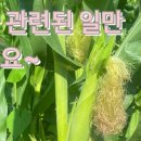 김원섭농장 이미지