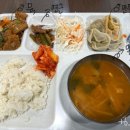 데일리멍 애견유치원, 애견호텔 이미지