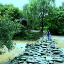 나의살던고향은 이미지