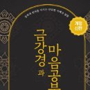 진리의 비상 이미지