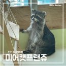 에덴미어캣프랜즈 | 인천 이색데이트 실내동물원, 여러 동물이 많은 에덴미어캣프렌즈