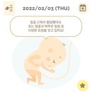 시니롱