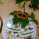 하나빛캐슬유치원 이미지