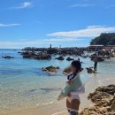 해빛뜰어촌체험휴양마을 | 삼척 프리다이빙 명소, 갈남항 말고 신남항 가세요!