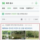 리얼플랜제주