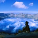 노동인권, 행정심판 그리고 사회적경제 이미지