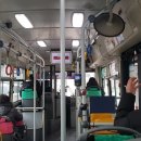 삼환나우빌(아) 이미지
