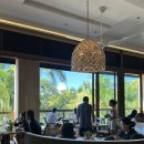 눈빛안경 | 2025.BOHOL_03(초콜릿힐,안경원숭이,맨메이드포레스트)