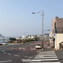 올레 김밥 | [소원김밥] 제주 서귀포 올레시장 정방폭포 근처 김밥맛집 포장후기