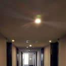 로얄대중목욕탕 이미지