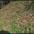 삼미농장 이미지