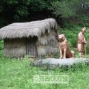 역골로 이미지