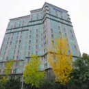 삼성동-14 이미지