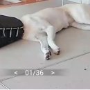 대추원천 이미지