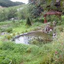 광선초등학교 이미지