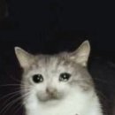 포차지존 | [경시/시흥/오이도] 오이도 가성비 3만원대 조개 무한리필 집 추천! 조개 포차