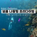 보홀 3 : 나팔링 프리다이빙 짐보관 및 보홀랩 수중 스냅 촬영 후기