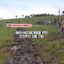 산림개발 이미지