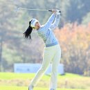 샷 텔레콤 이미지
