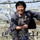고운머리