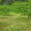 첫골농장 이미지