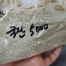 개봉제일시장 - 2462 | 개봉제일시장