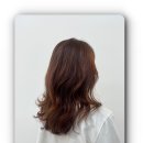 모엘헤어 이미지