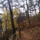 장성호 수변트레킹길 주차장 이미지