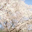 서대구IC주유소 이미지