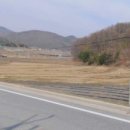 보은공인중개사사무소 이미지