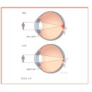 다비치안경전주객사점 이미지