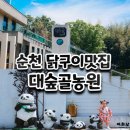 순천관광농원여관 | 순천 대숲골농원 닭구이 여름에 올만한곳