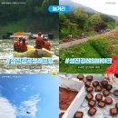 곡성-178 이미지