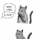 이준석 예상 선거비용 30억이래요 ㄷㄷ 이미지