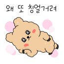 스테이서귀 이미지