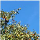 따뜻한동행방문요양센터 | 송파재가복지 사랑으로 빚은 따뜻한 동행, 새봄방문요양센터 경험기