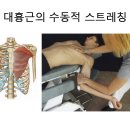 대흉근 &amp; 소흉근 스트레칭 방법 이미지